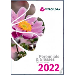 Katalog Perennials & Grasses - Byliny i Trawy 2022 VITROFLORA